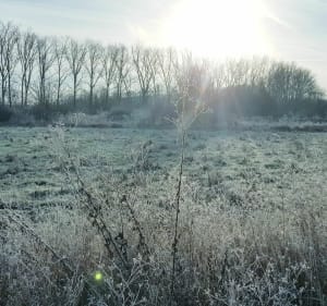 Gandrange, Amnéville, Tour de Drince, Gandrange sous 0°C ! - Olivier - 3
