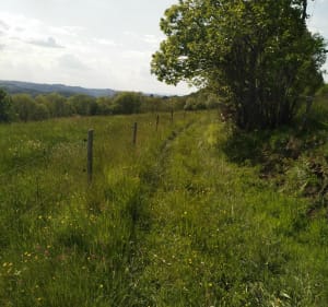 Chemin des Crêtes - Sérilhac - 3