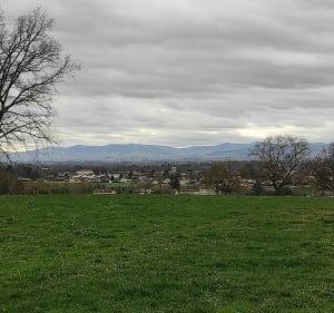 Panorama sur le Beaujolais - Catherine - 4