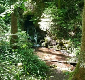 Balade autour de la cascade d'Oberhaslach - Oberhaslach - 4
