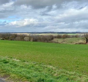 Plattelandsroute rond Gragnague - Andre - 3