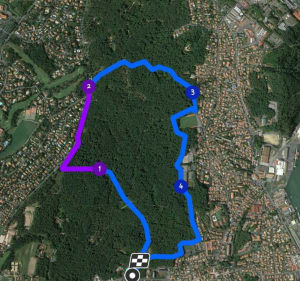 Balade dans la forêt du Pignada - Anglet - 2