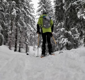 Prachtige sneeuwschoenwandeling Le Pleynet - Crêt du Bœuf - La Ferrière - 2