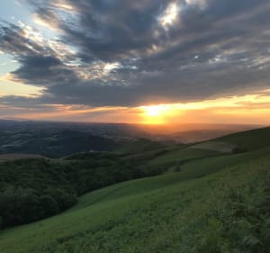 Wandeling aan de voet van Ursuya vanuit Cambo-les-Bains - Cambo les Bains - 2