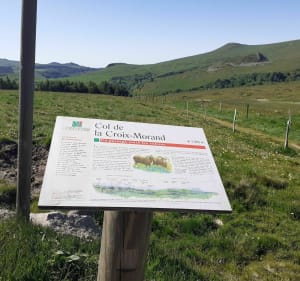 Belle rando sportive au Mont-Dore "Les Cascades" - Mont-Dore - 2