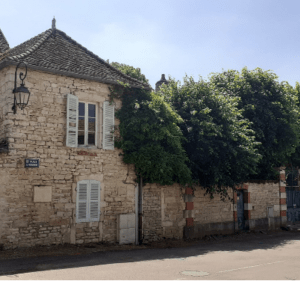 Boucle intrigante à VTT de Meursault à Puligny-Montrachet - Meursault - 2