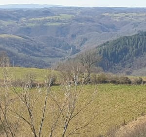 Panorama des 3 châteaux à Coubisou - Coubisou - 2