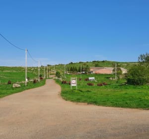 Tour du lac du Pêcher trail - Dienne - 2