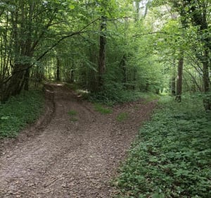 Randonnée dans les bois de Longuevillette - Candas - 2