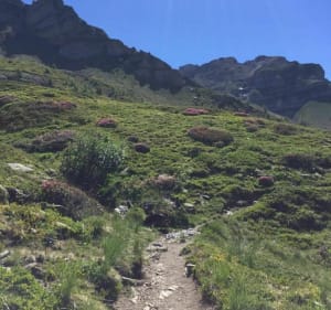 Belle randonnée au Col de La Pisse (départ Station Chaillol) - Saint-Michel-de-Chaillol - 2