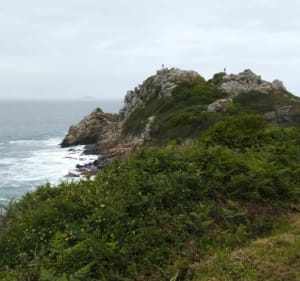 Balade cool de la pointe du château en passant par la ville. - Perros-Guirec - 4