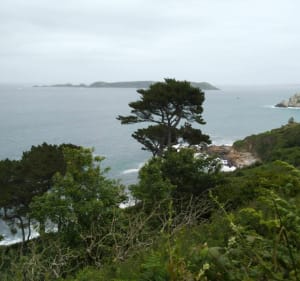 Balade cool de la pointe du château en passant par la ville. - Perros-Guirec - 3