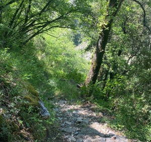 Tour deL’Albaréa, les Agreux, Grange… - Sospel - 2