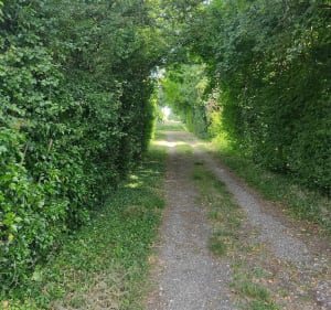 Promenade le long de Lavanon - Bey - 2