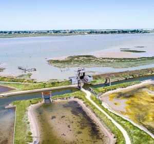 À la découverte de la presqu'île de la Faute-sur-Mer - La Faute-sur-Mer - 3