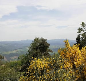 Tour de la Dent - Beauzac - 2