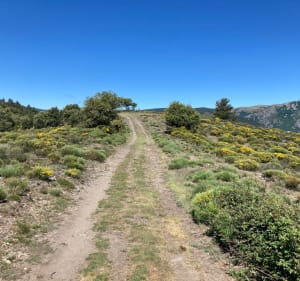 Sentier de l’Espinas, par monts et par vaux - Ventalon en Cévennes - 2