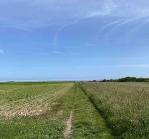 Incontournables paysages de Saint-Pierre-en-Port - Saint-Pierre-en-Port - 2