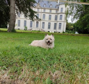 Loc envel le long du guic - Caroline - 4