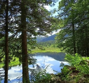 Balade avec vue - La Bresse - 2
