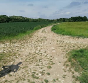 ECO Rando claye souilly - Claye-Souilly - 2