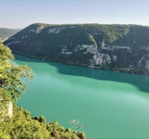 Gemzenrit in Nantua en St Martin du Frêne. - Saint-Martin-du-Fresne - 2