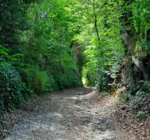 A Melgven : balade des Dolmens - Melgven - 2