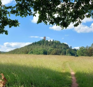 Randonnée en Pays de Hanau. - Isabelle - 3