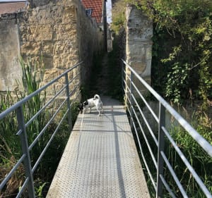 Le chemin vert - Laon - 2