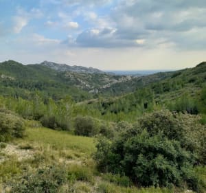 Meer Peirou - Saint Rémy de Provence - 2