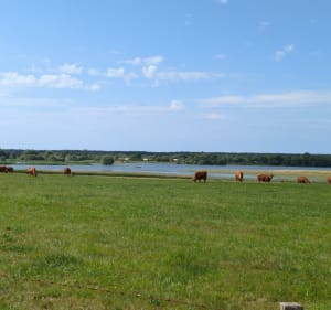 Le grand tour du lac de Rillé à vélo - Huttopia - 2