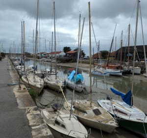Excursion autour de la réserve naturelle de Müllembourg - Noirmoutier-en-l'Île - 2