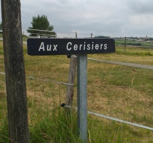 Berson par le Grand-Pierre - Saint-Girons-d'Aiguevives - 2