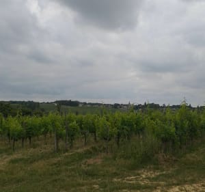 Berson par le Grand-Pierre - Loetitia - 3