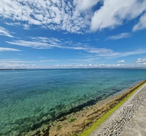 De Guérande à la pointe de Pen-Bron - Guérande - 2