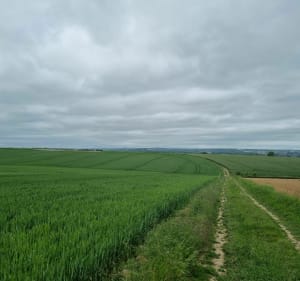 Le Mont Géant - Wavrans-sur-l'Aa - 2