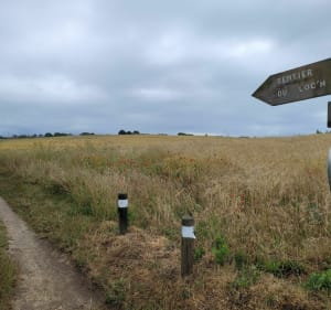 Randonnée au départ du lieu-dit "Les Bisquines" - Guidel plages - 2