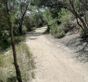 Entre garrigues et vignes - Montagnac - 2