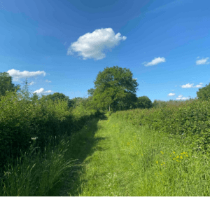 Moment apaisant entre Morvan et Auxois - Arnay-le-Duc - 2