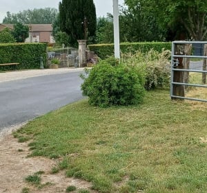 Bois de Coulvagny - Aulnay-l'Aître - 2