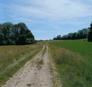 Parcours de la Chaussée-sur-Marne le long du canal - Leslie - 4