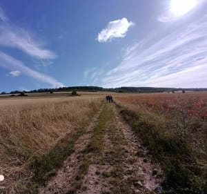Autour de La Croix-Saint-Leufroy - Sylvain - 3