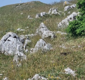 Aiguilles de Baulmes et Suchet - Jougne - 2