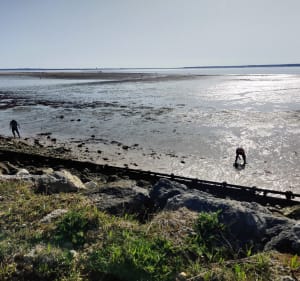 Pointe de Gatseau, sur un air du bout du monde - Saint-Trojan-les-Bains - 3