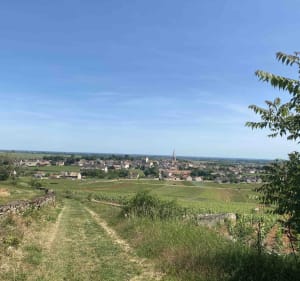Excursion exquise à VTT sur la route des Grands Crus - Meursault - 2