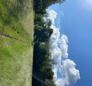 Balade dans la forêt des Vallières - Thorigny-sur-Marne - 2