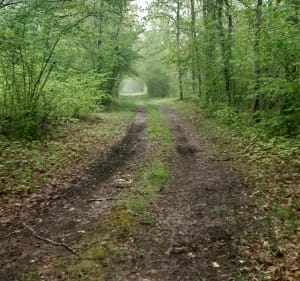 La sortie du coucou - Romorantin-Lanthenay - 2