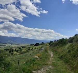 Ontdekkingstocht naar de zonneoven en panoramische wandelpaden - Font-Romeu-Odeillo-Via - 2