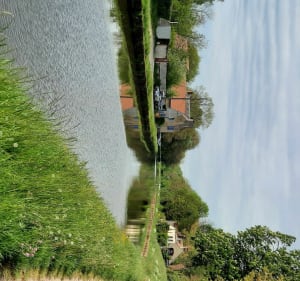 Bords du canal Châlette-sur-Loing... Nargis - Châlette-sur-Loing - 2