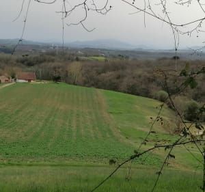 Entre la Tour Jean Rameau et la colline d'Aspremont - Peyrehorade - 2